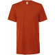 Bella + Canvas Men triblend Crew Neck T-shirt