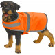 Yoko GILET R�FL�CHISSANT POUR CHIEN