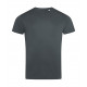 Stedman Active Sports-T Men