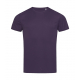 Stedman Active Sports-T Men