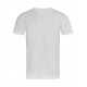 Stedman Finest Cotton-T Men