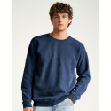 Comfort Colors Adult Crewneck Sweatshirt