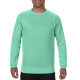 Comfort Colors Adult Crewneck Sweatshirt